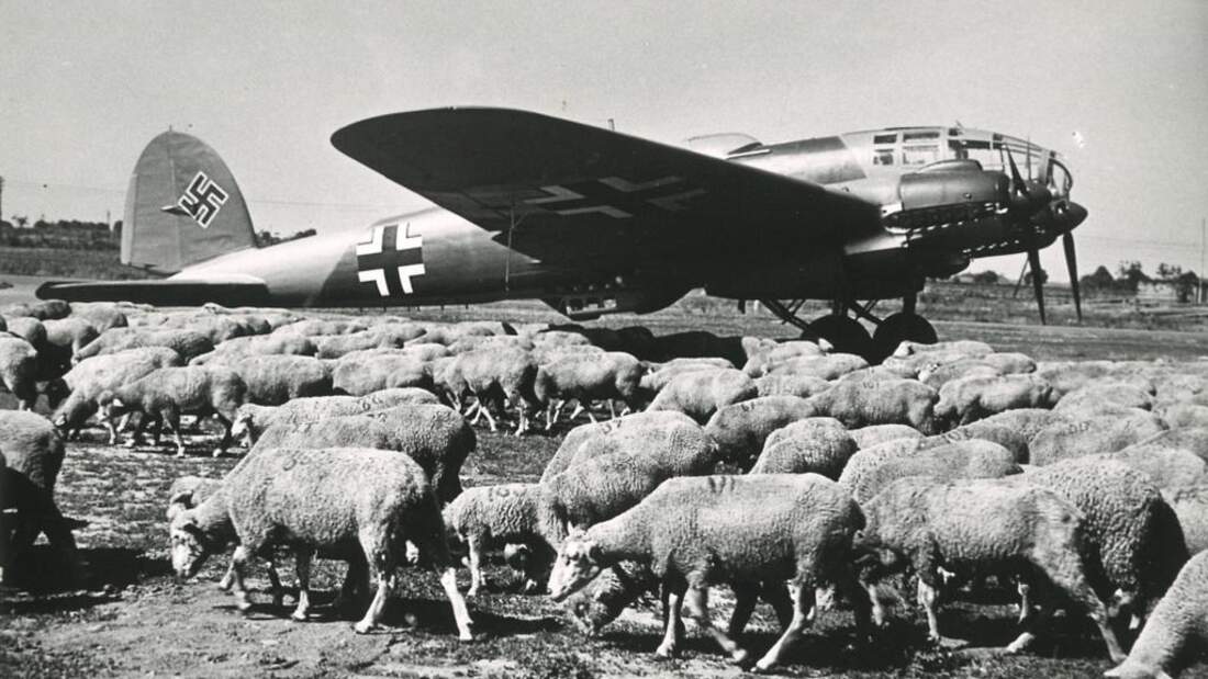 tierischen Begleiter der Luftwaffen während des Zweiten Weltkriegs