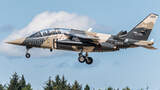 Alpha Jet von Top Aces.
