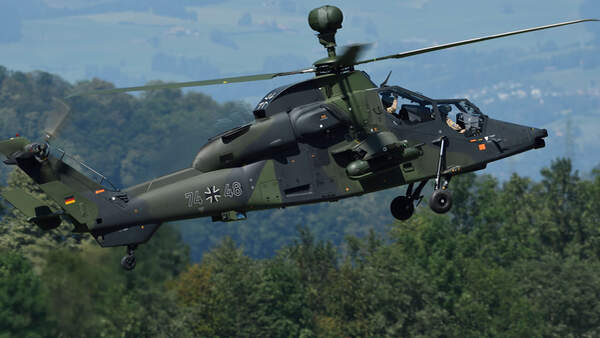 Tiger im Flug über Wald