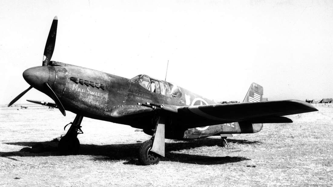 North American P51 Die frühen Mustangs FLUG REVUE