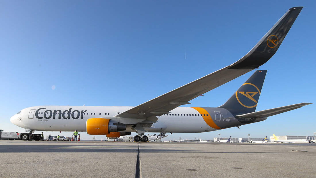 Flug Frankfurt Punta Cana Heute Condor www.flugrevue.de