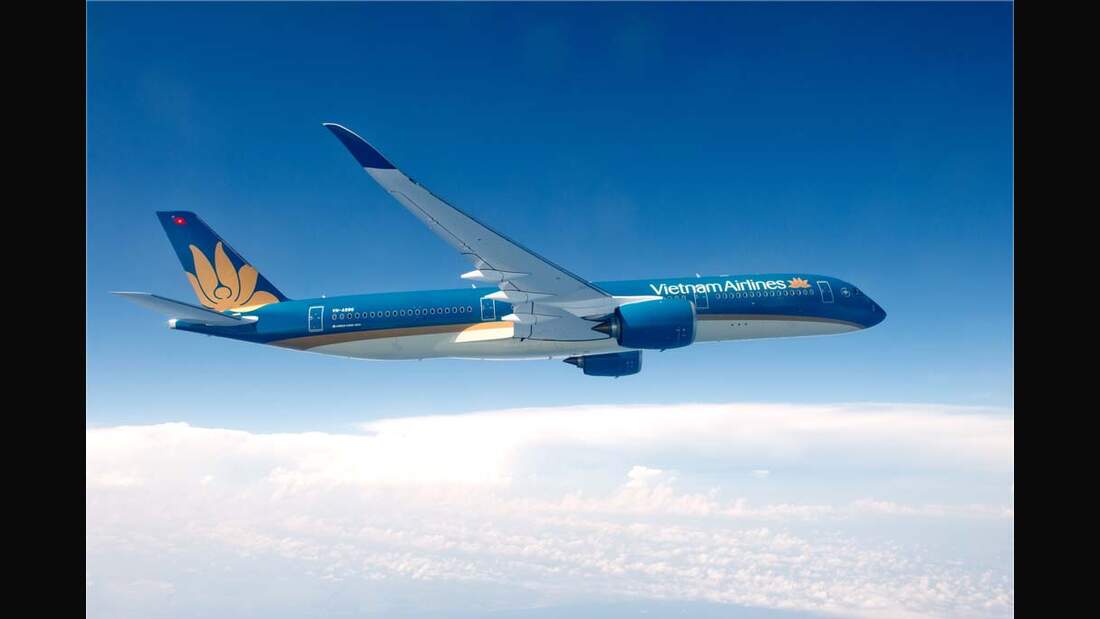 ANA will bei Vietnam Airlines einsteigen