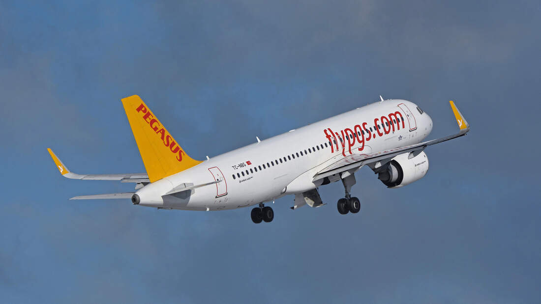 Pegasus Airlines: Das türkische Zugpferd | FLUG REVUE