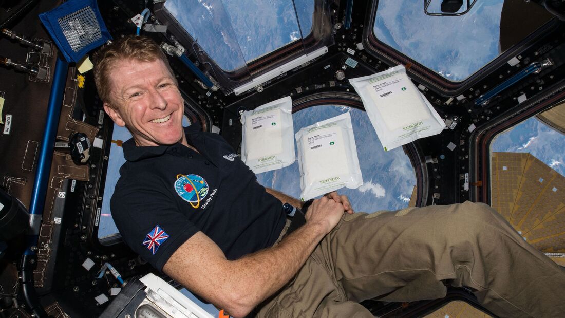 Tim Peake tritt aus Astronautenkorps zurück