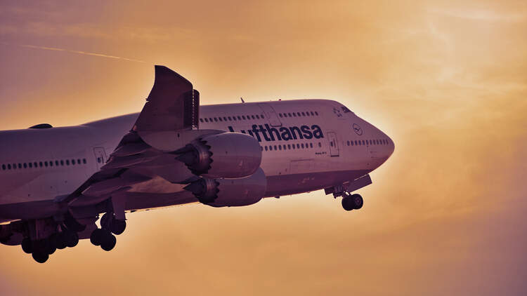 Zu Weihnachten Fullt Lufthansa Die Flugzeuge Flug Revue